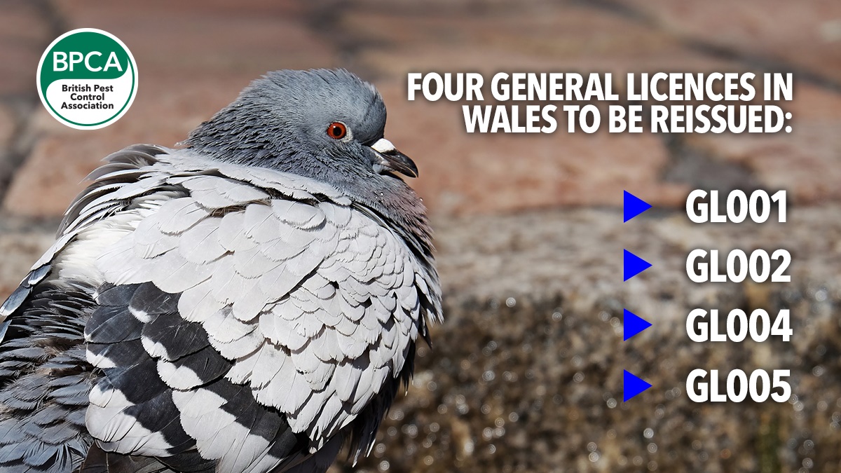 nrw-reissue-four-general-liences nrw-reissue-four-general-liences